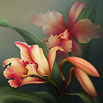 Jaguarwoman's "Aloha Orchids" Single Background #1