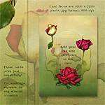 Jaguarwoman's "Summer Roses" Cards