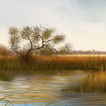 Jaguarwoman's "Wetlands" Backgrounds