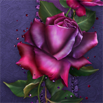 Jaguarwoman's "Twilight Roses"