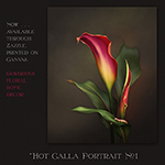 Jaguarwoman's "Hot Calla Lily Portrait #1"