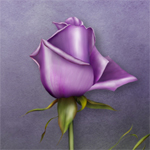 Jaguarwoman's "Lavender Rose"