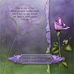 Jaguarwoman's "Lavender Rose"
