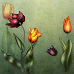 Jaguarwoman's "Spring Tulips"