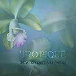 Jaguarwoman's "Tropique Background #12"