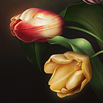 Jaguarwoman's "Tulip Vibrance" Background #1