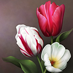 Jaguarwoman's "Tulip Vibrance Background #4"