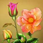 Jaguarwoman's "Rose Bouquet Background #7"