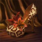 Jaguarwoman's "Diva Shoe"