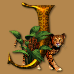 Jaguarwoman's "Animal Alphabet"