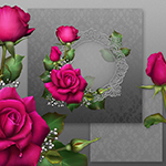 Jaguarwoman's "Claire's Roses"
