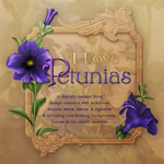 Jaguarwoman's "I Love Petunias"