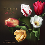 Jaguarwoman's "Tulip Vibrance" Collection